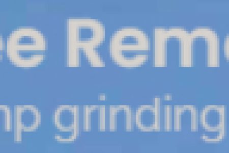 image – 2022-11-27T095851.455 image - 2022-11-27T095851.455