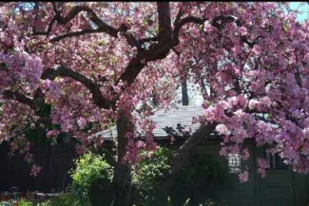 image (37) image (37)