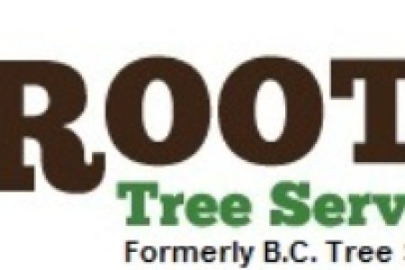 image (39) image (39)