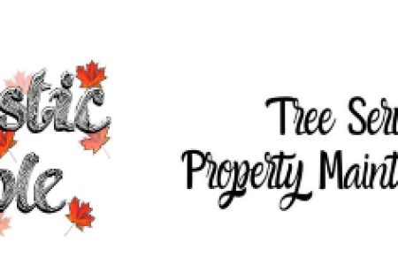 image (40) image (40)