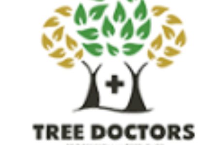 image (42) image (42)